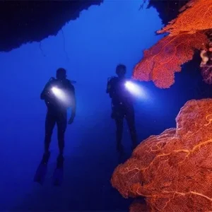 Master Scuba Diver Trainer