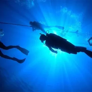 Specialty Instructor