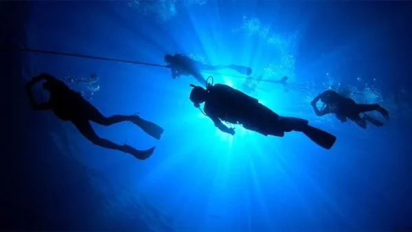 Specialty Instructor